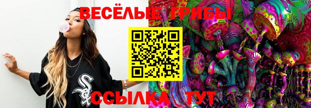 Галлюциногенные грибы ЛСД Октябрьский