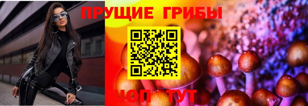 Псилоцибиновые грибы мицелий  Вход с VPN  Псилоцибиновые грибы мицелий  Октябрьский 